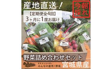 [定期便全4回]3ヶ月に1度お届け!岩沼みんなの家の「みんなの直売!野菜」セット詰め合わせ隔月4回