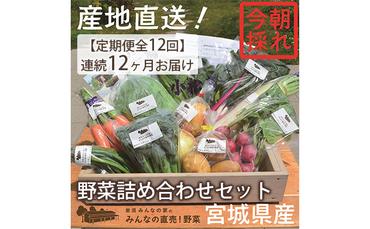 【定期便全12回】連続12ヶ月お届け！岩沼みんなの家の「みんなの直売！野菜」セット詰め合わせ