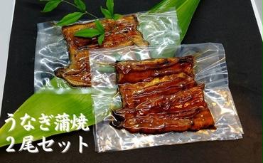 【三河産 鰻】うなぎ蒲焼セット2尾（活魚1本200g×2）
