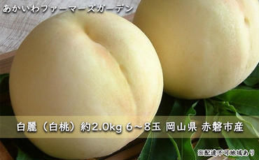 桃 2024年 先行予約 白桃 白麗 約2.0kg 6～8玉 もも 岡山県 赤磐市産 フルーツ 果物 あかいわファーマーズガーデン