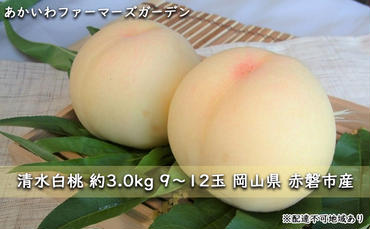 桃 2024年 先行予約 清水 白桃 約3.0kg 9～12玉  もも 岡山県 赤磐市産 フルーツ 果物 あかいわファーマーズガーデン