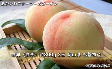 桃 2024年 先行予約 白桃 白鳳 約800g 3玉 もも 岡山県 赤磐市産 フルーツ 果物 あかいわファーマーズガーデン