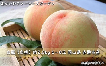 桃 2024年 先行予約 白桃 白鳳 約2.0kg 6～8玉 もも 岡山県 赤磐市産 フルーツ 果物 あかいわファーマーズガーデン