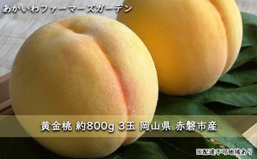桃 2024年 先行予約 黄金 桃 約800g 3玉 もも 岡山県 赤磐市産 フルーツ 果物 あかいわファーマーズガーデン