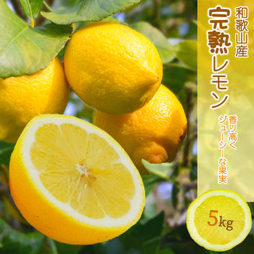 EA6009n_和歌山県産 完熟 レモン 5kg 皮までご使用いただける低農薬栽培!