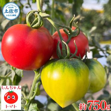 糖度9度以上 フルーツトマト しんちゃんトマト 約750g (小 - 大玉サイズ 18 - 30個) トマト 高糖度 高知県産 ふるーつとまと 甘い 美味しい お取り寄せ