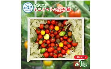 カラフルミニトマトの宝石箱　（約1kg） トマト ミニトマト とまと カラフルミニトマト 詰め合わせ カラフル トマト とまと 美味しい 野菜 高知県産