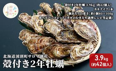 【国内消費拡大求む】 北海道 湧別町 サロマ湖産　殻付き2年 牡蠣 3.9kg（約42個入） カキ