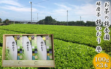 球磨茶【錦かおり：誉】玉緑茶