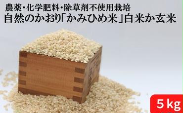 自然のかおり「かみひめ米」白米か玄米 5kg