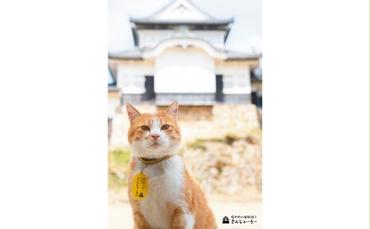 備中松山城 猫 城主『さんじゅーろー』ポストカード 10枚セット