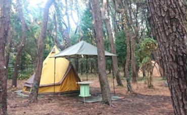 ちがさき柳島キャンプ場 セットアップテントで森林浴キャンプ