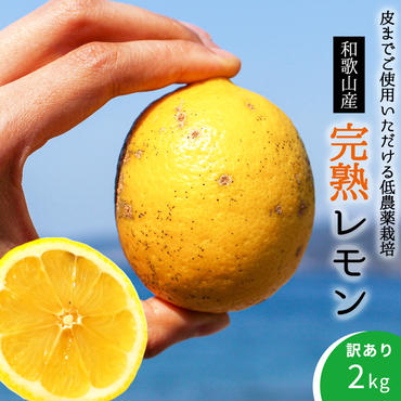 EA6021n_【訳あり・ご家庭用】完熟 レモン 2kg 皮までご使用いただける低農薬栽培!