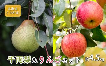 先行予約 北海道 仁木町産 千両梨＆りんごセット 約4.5kg くだもの直売もり園