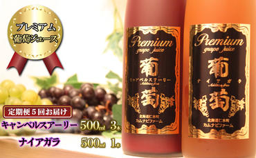 【計5回お届け】プレミアム葡萄ジュース赤・白2種セット（計4本）