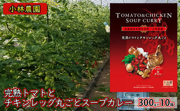 10箱 小林農園 完熟トマト チキンレッグ 丸ごと スープカレー 300g 北海道 仁木町