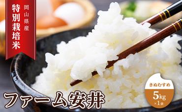 特別栽培米 きぬむすめ 5kg×1袋 米 白米 岡山県産 ファーム安井