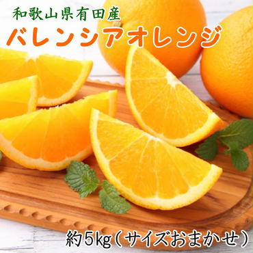 ZD6372n_和歌山県有田産 バレンシアオレンジ 5kg (サイズおまかせ)