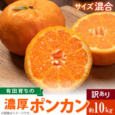 AB7096n_（先行予約）（極甘柑橘）有田育ちの 濃厚 ポンカン（訳あり 家庭用）10kg (サイズ混合)
