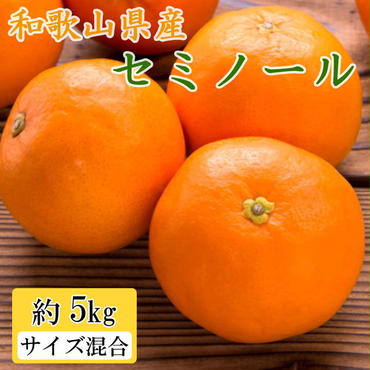 和歌山県産セミノールオレンジ約5kg（サイズ混合 秀品）　※2025年4月上旬～4月下旬頃に順次発送予定