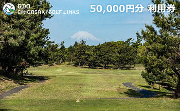 ゴルフ場 神奈川 GDO茅ヶ崎ゴルフリンクス 50,000円分　利用券 ゴルフ
