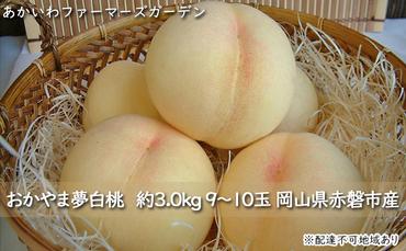 桃 2024年 先行予約 おかやま 夢 白桃 約3.0kg 9～10玉 もも 岡山県 赤磐市産 フルーツ 果物 あかいわファーマーズガーデン
