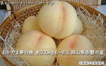 桃 2024年 先行予約 おかやま 夢 白桃 約2.0kg 6～8玉 もも 岡山県 赤磐市産 フルーツ 果物 あかいわファーマーズガーデン