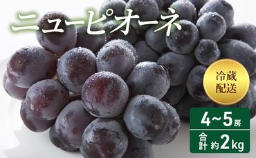2024年 先行予約 ニューピオーネ 4～5房 合計約2kg 冷蔵配送 ぶどう 葡萄 フルーツ 果物 岡山 