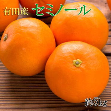 ZD6349n_和歌山有田産 セミノールオレンジ 5kg (サイズおまかせ) 秀品