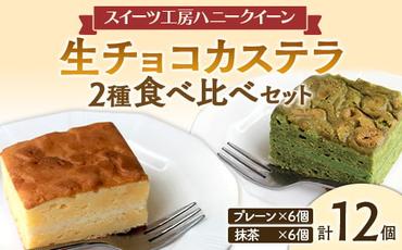 FKK19-464_生チョコカステラ2種食べ比べ 12個セット 熊本県 嘉島町