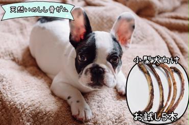 FB130_【お試し5本】小型犬向け☆天然いのししのスモーク骨ガム(細）