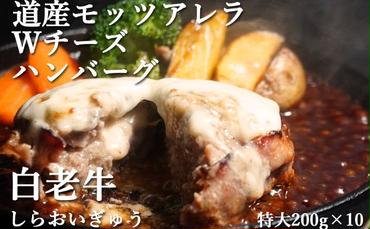 道産和牛ダブルチーズハンバーグ（200g）10個入り MROA048