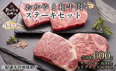おかやま 和牛肉 A5 等級 ステーキ セット 合計約600g（サーロイン 約300g＆リブロース 約300g）牛 赤身 肉 牛肉 冷凍