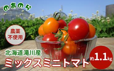 【栽培期間中 農薬不使用 】 北海道 滝川市 産 ミックス ミニトマト 約1.1kg トマト 野菜 やさい みにとまと