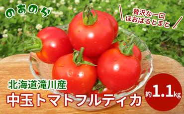 [栽培期間中 農薬不使用 ]贅沢な一口ほおばるとまと( 北海道 滝川市 産中玉トマトフルティカ)約1.1kg トマト 野菜 やさい フルティカ 中玉トマト