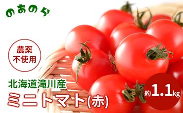 [栽培期間中 農薬不使用 ] 北海道 滝川市 産 ミニトマト (赤) 約1.1kg トマト 野菜 やさい みにとまと