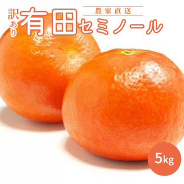 AN6110n_【先行予約】和歌山有田産 セミノールオレンジ【訳あり家庭用】5kg(M～3Lサイズ混合)