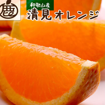 ＜2月より発送＞厳選 清見オレンジ5kg+150g（傷み補償分）【光センサー食頃出荷】【樹上完熟きよみオレンジ・清見タンゴール・清美】
※北海道・沖縄・離島への配送不可
※2025年2月上旬～3月下旬頃に順次発送予定