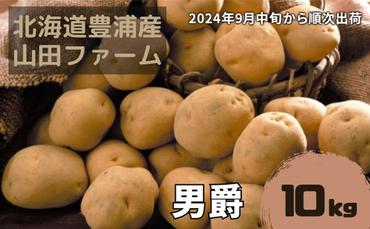 【2024年9月中旬から順次出荷】北海道 豊浦産 じゃがいも 男爵 10kg M-Lサイズ 農園直送 産直 ポテト 芋 イモ