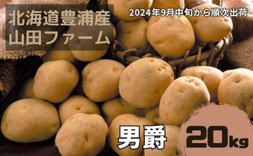 【2024年9月中旬から順次出荷】北海道 豊浦産 じゃがいも 男爵 20kg M-Lサイズ 農園直送 産直 ポテト 芋 イモ