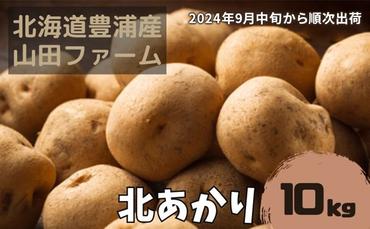 【2024年9月中旬から順次出荷】北海道 豊浦産 じゃがいも 北あかり 10kg M-Lサイズ 農園直送 産直 ポテト 芋 イモ