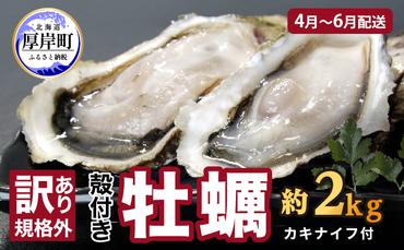 2025年4月～6月配送 訳あり ハーフ 規格外 牡蠣 北海道厚岸産 殻付カキ 約2kg（11～25個）カキナイフ付 生食