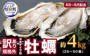 2025年4月～6月配送 訳あり 牡蠣 北海道厚岸産 殻付カキ 約4kg (25～50個) カキナイフ付 生食