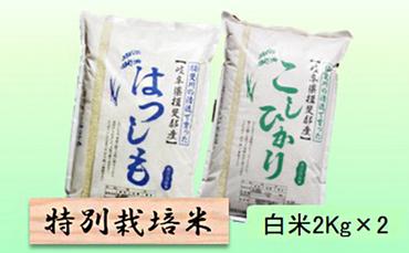 特別栽培米★白米４kg 【ハツシモ・コシヒカリ】