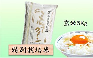 特別栽培米★玄米５kg 【ミルキークイーン】
