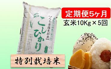 特別栽培米★[定期便] 5カ月★毎月 玄米10kg【こしひかり】