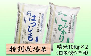 特別栽培米★精米20kg（白米/5分/7分ツキ可）【ハツシモ・コシヒカリ】 玄米は別に出品
