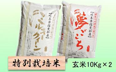 特別栽培米★玄米20kg【ミルキークイーン・夢ごこち】各10Kg