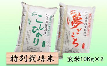 特別栽培米★玄米20kg【コシヒカリ・夢ごこち】各10Kｇ