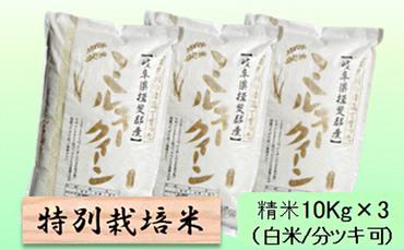 特別栽培米★精米30kg（白米/5分/7分ツキ可）【ミルキークイーン】 玄米は別に出品